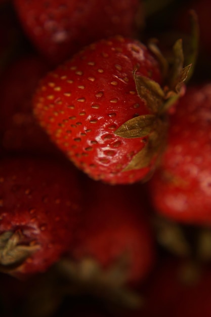 verse aardbeien uit het bos opvallende kleur