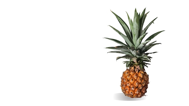 verse ananas geïsoleerd van witte achtergrond