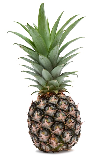 Verse ananas op een witte achtergrond