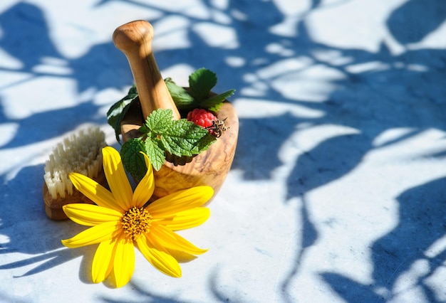 Verse apotheker biologische aromatische kruiden in houten vijzel