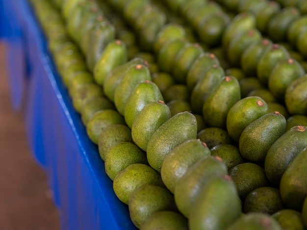 Verse avocado op lokale markt