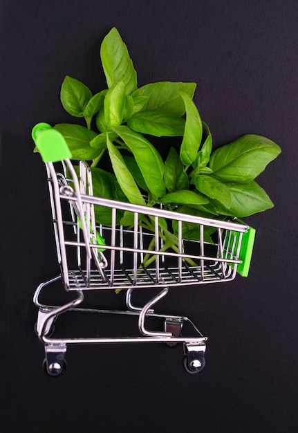 Verse basilicum in een kleine supermarktkar op een zwarte achtergrond.