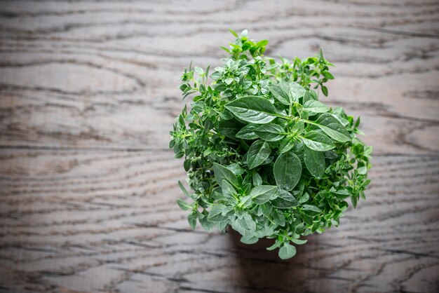 Verse basilicum op de houten tafel