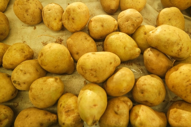 verse biologische aardappel achtergrondbehang