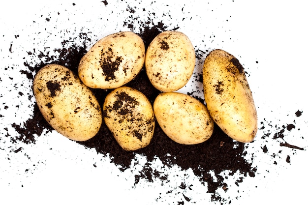 Verse biologische aardappelen en bodem geïsoleerd op wit