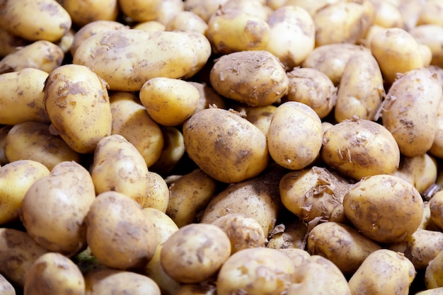 Verse biologische aardappelen in de markt.