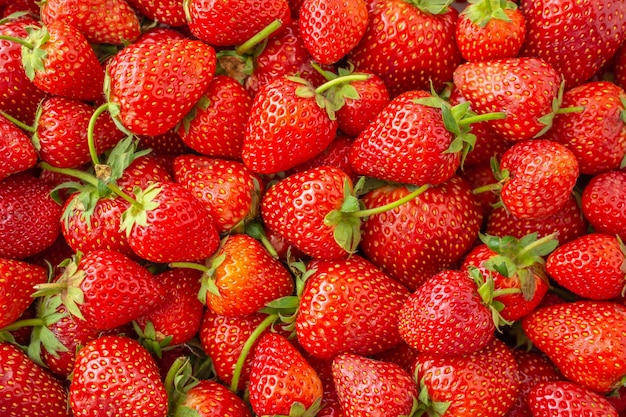 Verse biologische aardbei fruit achtergrond Bovenaanzicht close-up