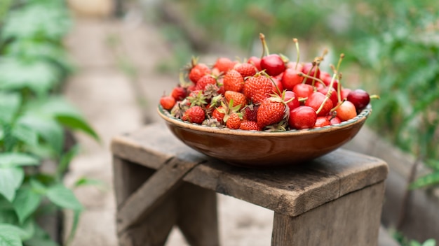 Verse biologische aardbeien en kersen uit eigen tuin