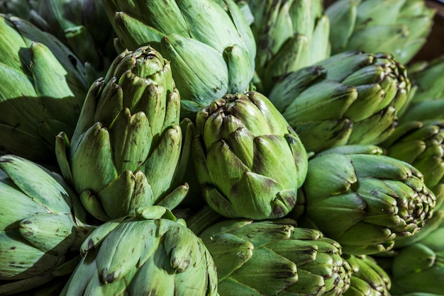 verse biologische artisjokken voor het koken in een restaurant Cynara scolymus Asteraceae-familie