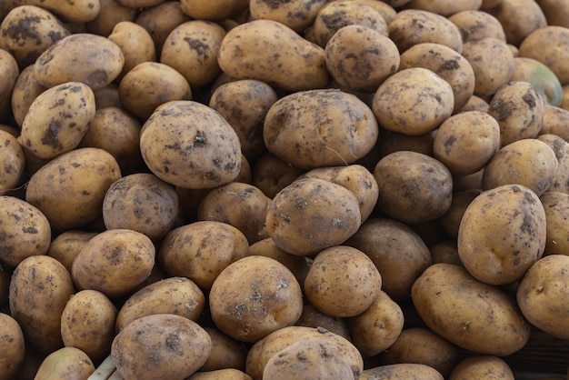 Verse biologische bruine ongeschilde aardappelen op een verse markt, achtergrond. Aardappel textuur. Veel biologische groenten