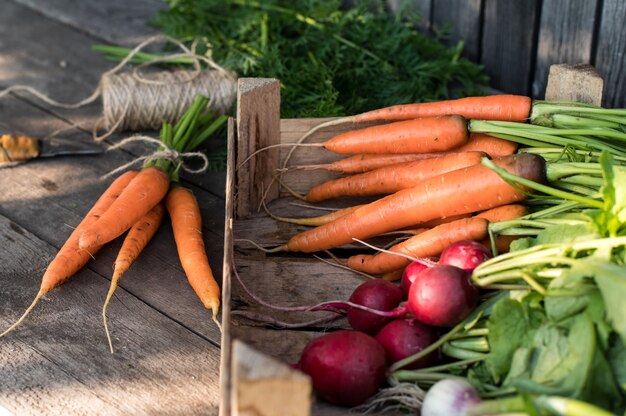 Verse biologische groenten in een houten doos. Concept voor biologische boerderij