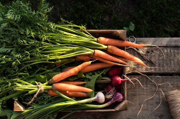 Verse biologische groenten in een houten doos