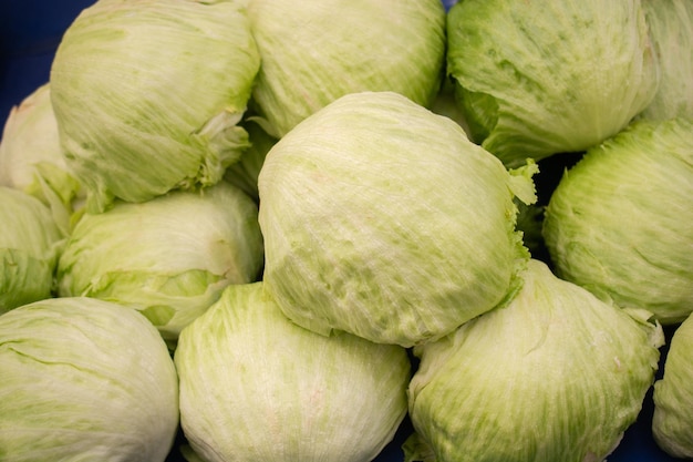 Verse biologische koolkoppen op de boerenmarkt