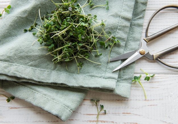 Verse biologische microgroen op tafel