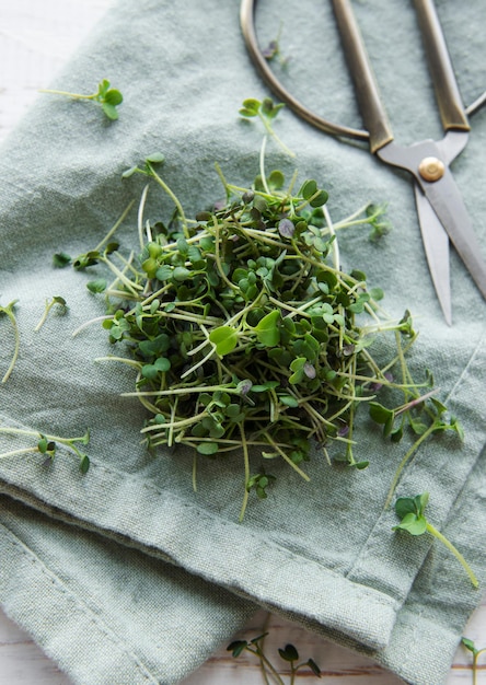 Verse biologische microgroen op tafel