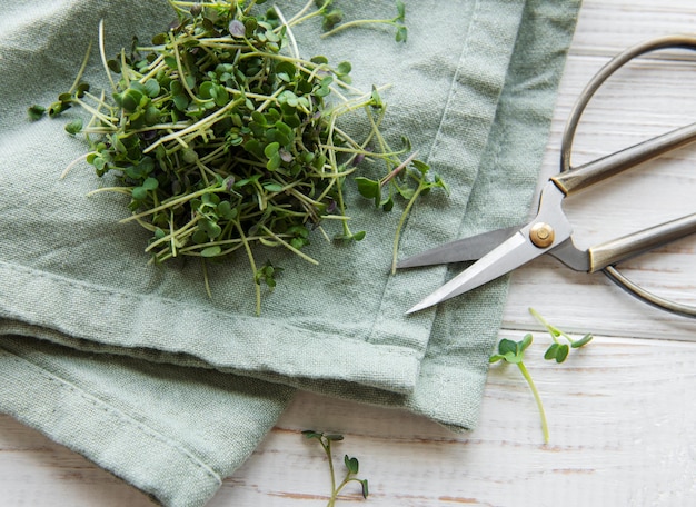 Verse biologische microgroen op tafel