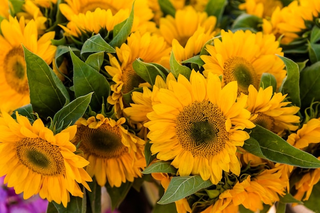 Verse biologische producten op de lokale boerenmarkt.