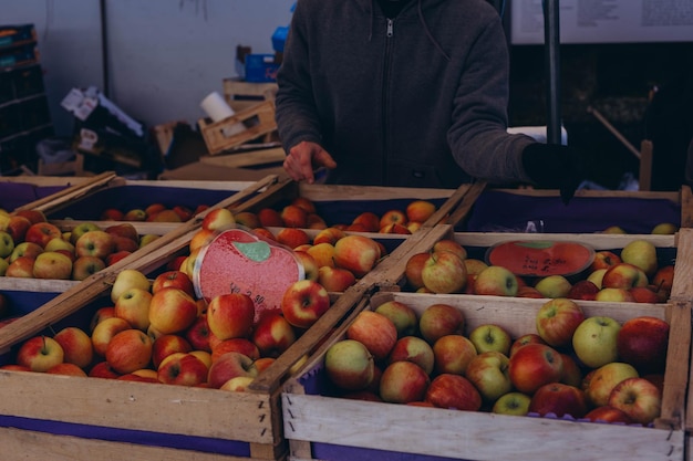 Verse biologische rode appels van de plaatselijke boerenmarkt