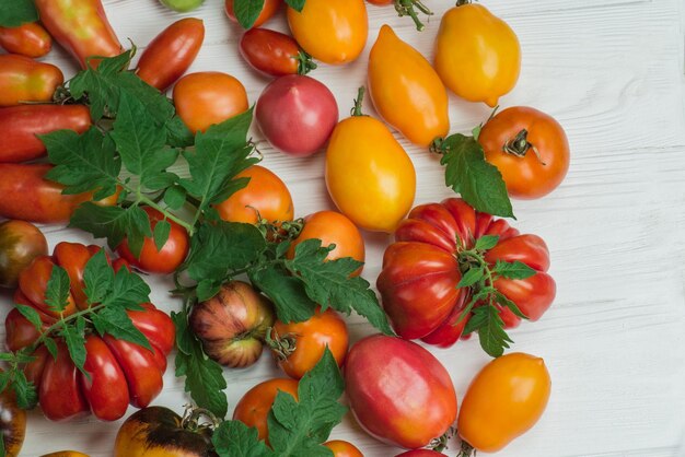 Verse biologische voeding op de boerenmarkt Lokale biologische productie Tomaten op houten achtergrond