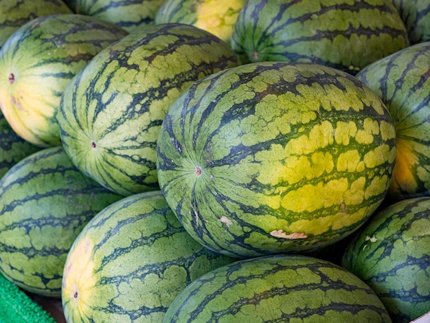 Verse biologische watermeloenen op de markt