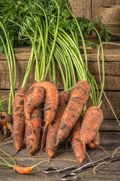 Verse biologische wortelen op hout