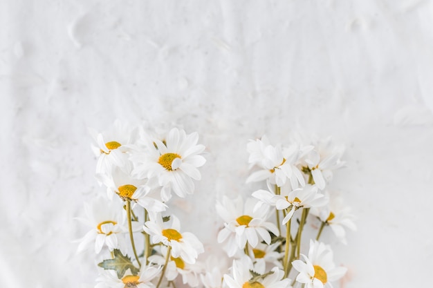 Foto verse bloemen dichtbij schachten op textiel