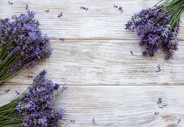 Verse bloemen van lavendel