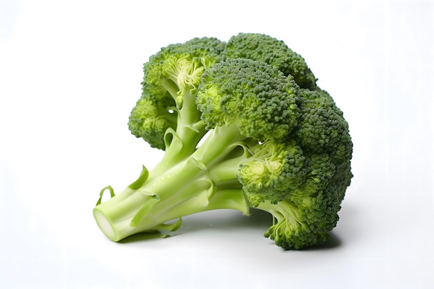 Verse broccoli bloemen geïsoleerd op witte achtergrond