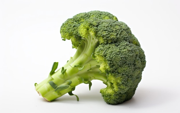 Verse broccoli die op witte achtergrond worden geïsoleerd