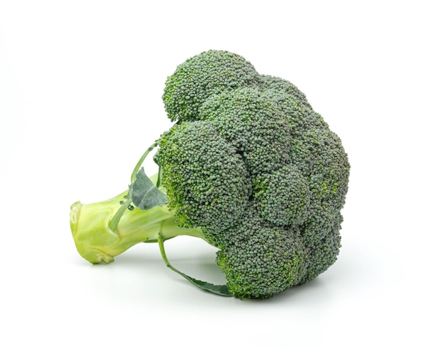 Verse broccoli geïsoleerd op witte achtergrond