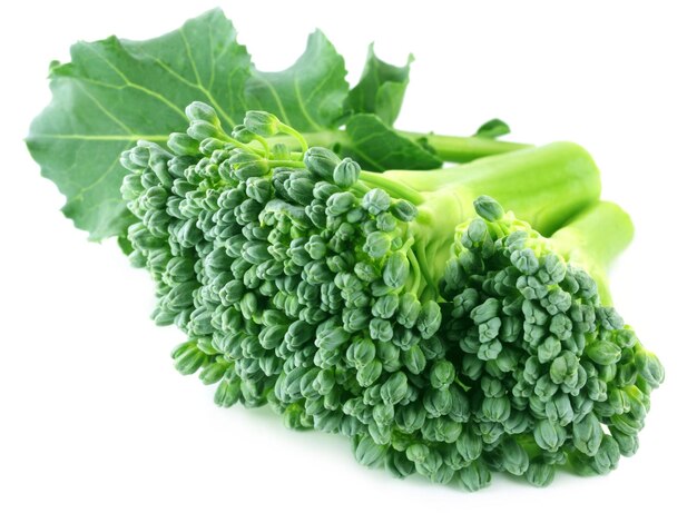 Verse Broccoli met selectieve aandacht op witte achtergrond