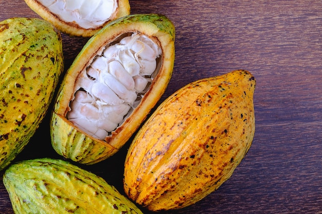 Verse cacao en cacaopeulen met ruwe cacao