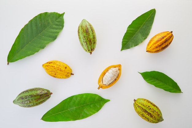 Verse cacaovruchten met groen blad op witte achtergrond