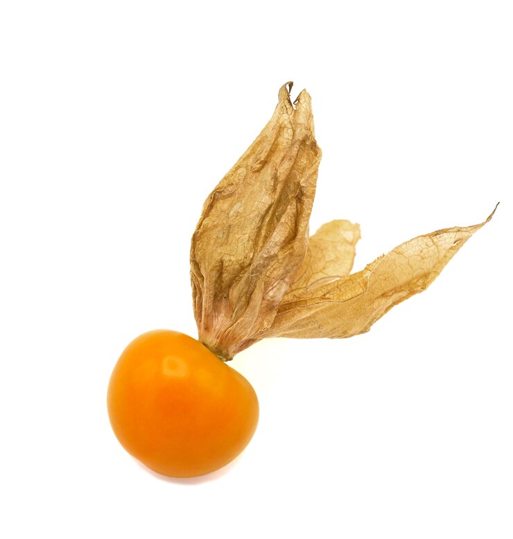 Verse cape goosebery, physalis, op witte achtergrond
