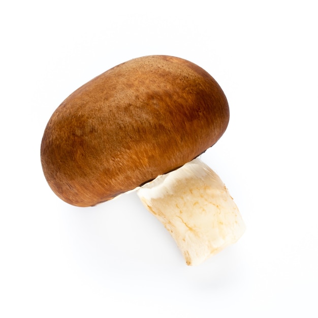 Verse champignonpaddestoelen die op wit worden geïsoleerd.