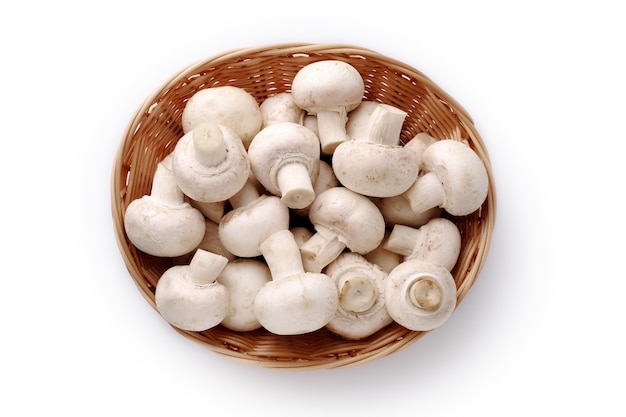 Verse champignonpaddestoelen op wit, geïsoleerd, close-up.