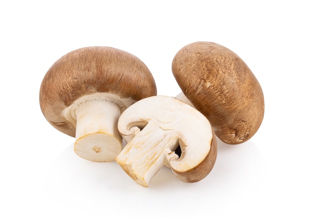 Verse champignonpaddestoelen op witte muur