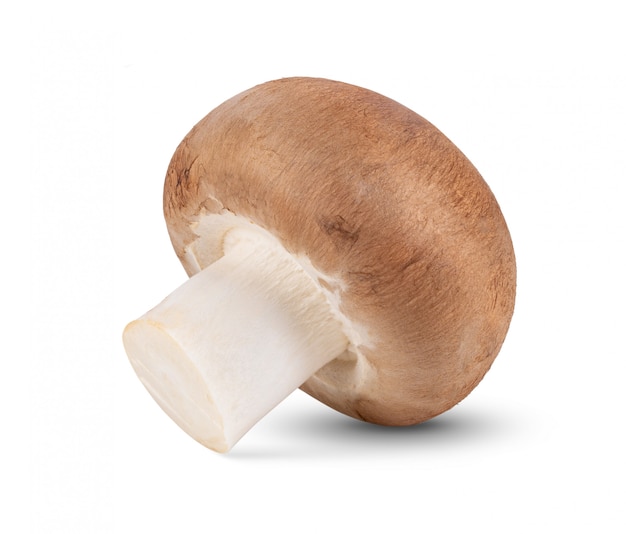 Verse champignonpaddestoelen op witte muur.