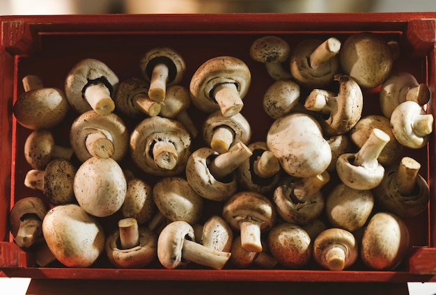 Verse champignons bij het hotelbuffet