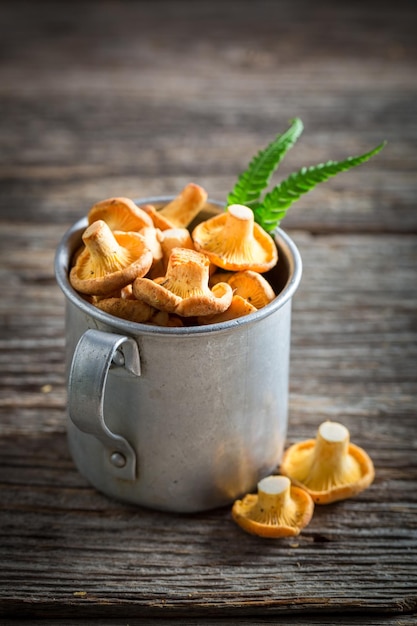 Verse champignons in een oude aluminium beker