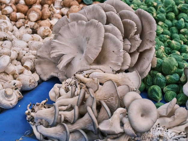 Foto verse champignons op de markt