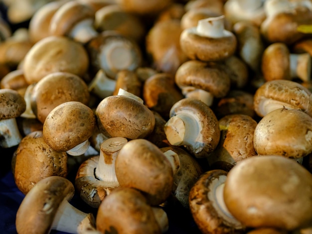 Verse champignons op de markt