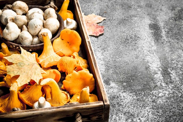 Verse champignons op een houten dienblad.