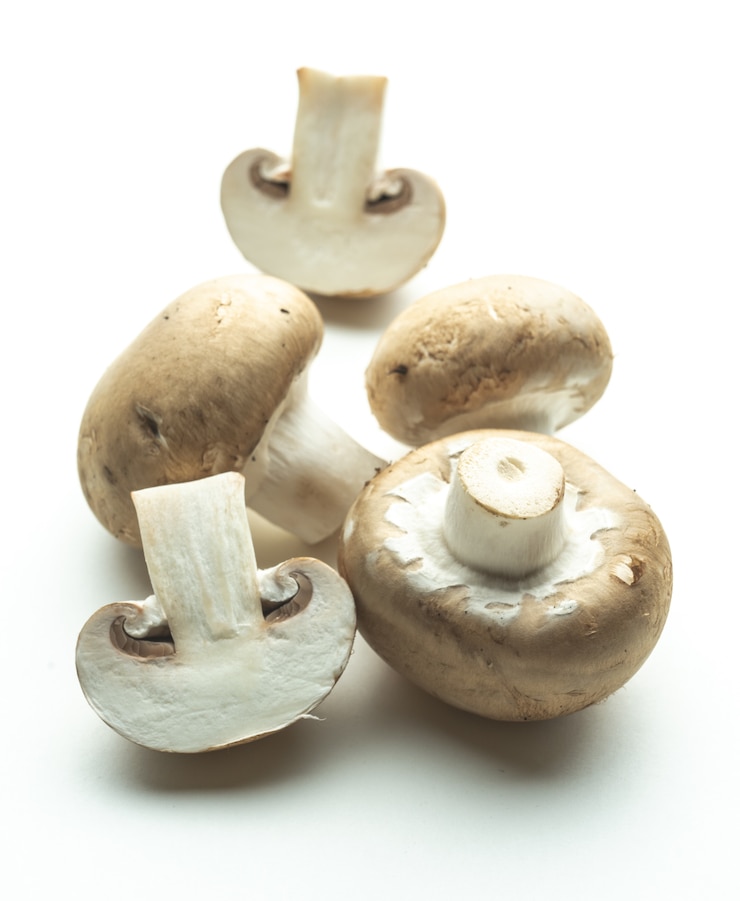 Foto verse champignons