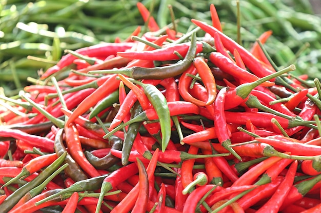 Verse chili op de markt