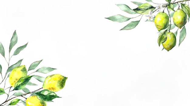 Foto verse citroenen afdruk handgetekende citroenen illustratie minimalisme citroenen poster met citrusvruchten