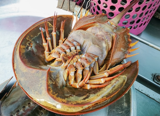 Verse degenkrabben of Tachypleus gigas verkocht op de visserspier