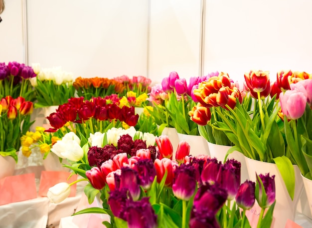 Verse diverse tulpen in de winkel