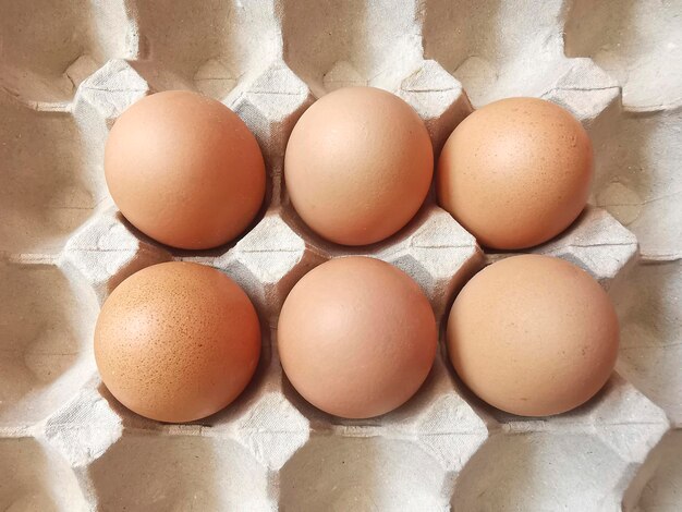 Verse eieren in de eierbox Eiertray of Eipaneel