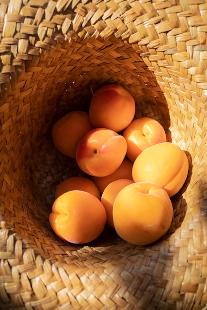 Verse en rijpe abrikozen in een strohoed Heerlijk zomerfruit